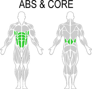 Fast-Attach Fitness Abs & Core Muscle Anatomy Drawing