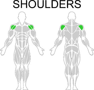 Fast-Attach Fitness Shoulders Muscle Anatomy Drawing