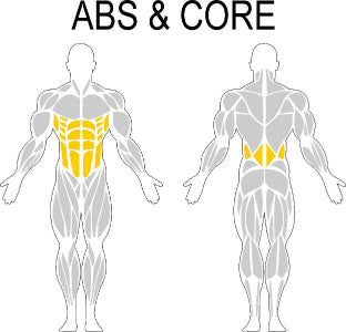 Fast-Attach Fitness Abs & Core Muscle Anatomy Drawing