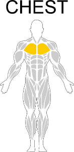 Fast-Attach Fitness Chest Muscle Anatomy Drawing