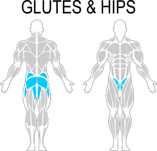 Fast-Attach Fitness Glutes & Hips Muscle Anatomy Drawing